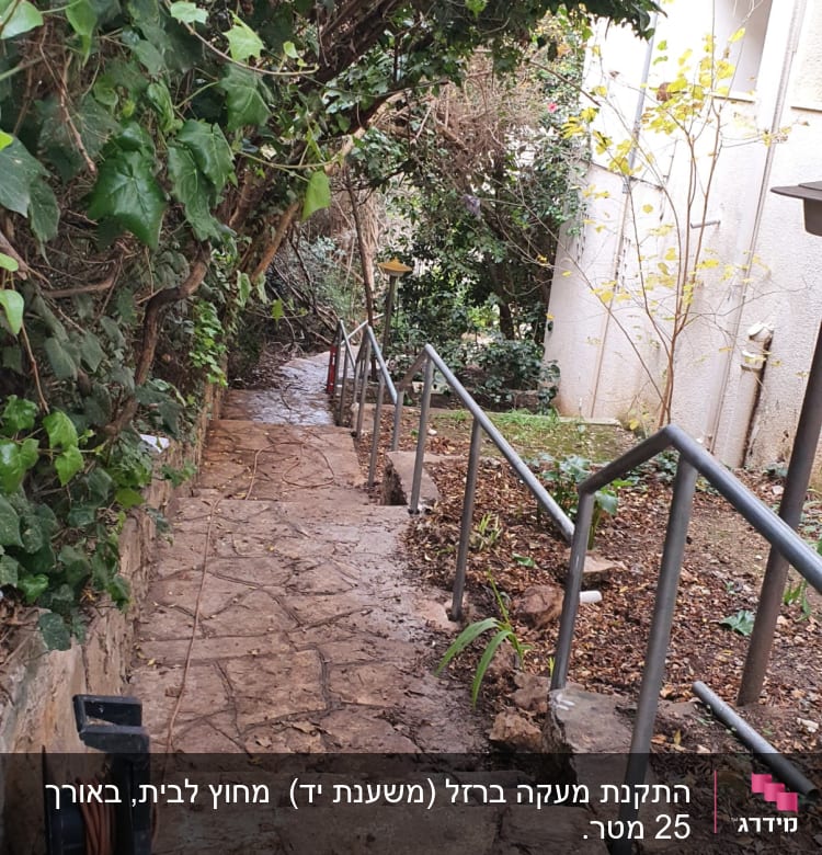 מעקה מתכת לאורך שביל אבן עם צמחייה